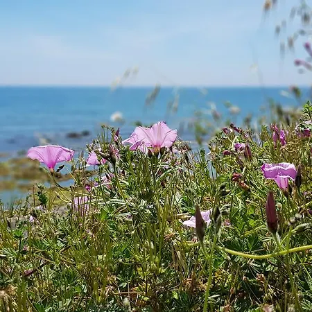 아파트 Exquisite Calahonda Beach Studio! *